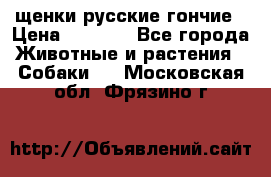 щенки русские гончие › Цена ­ 4 000 - Все города Животные и растения » Собаки   . Московская обл.,Фрязино г.
